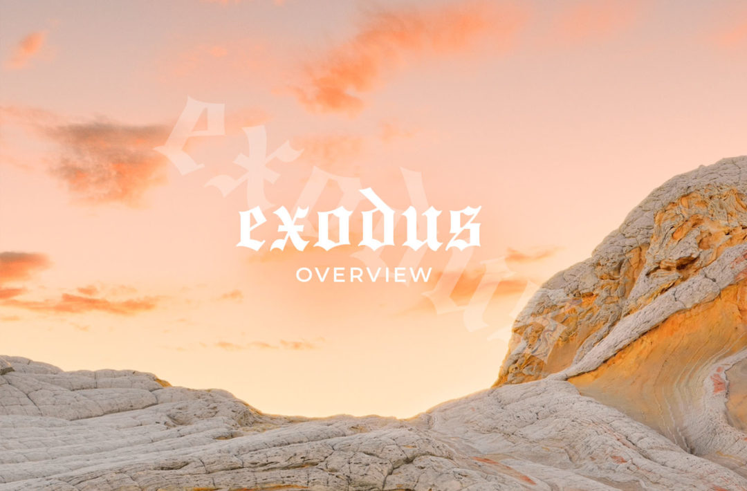 exodus overview
